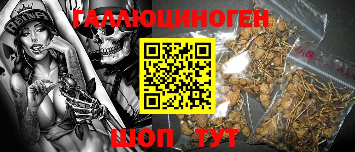 Галлюциногенные грибы GOLDEN TEACHER  Псилоцибиновые грибы прущие грибы  Вход с VPN  Зерноград 